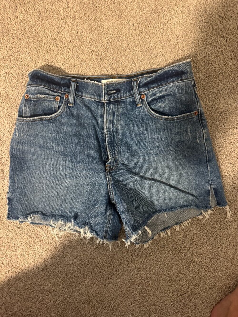 Abercrombie & Fitch The 4" Mom Short High Rise Size 29 / 8